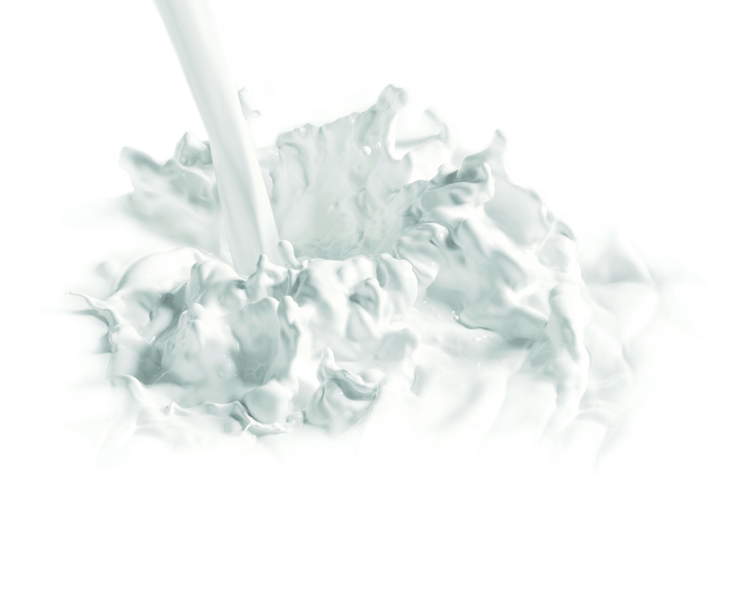 Le réservoir de lait frais est l'ajout idéal à votre distributeur automatique de lait avec alimentation au lait frais, garantissant une nutrition optimale pour vos veaux.
