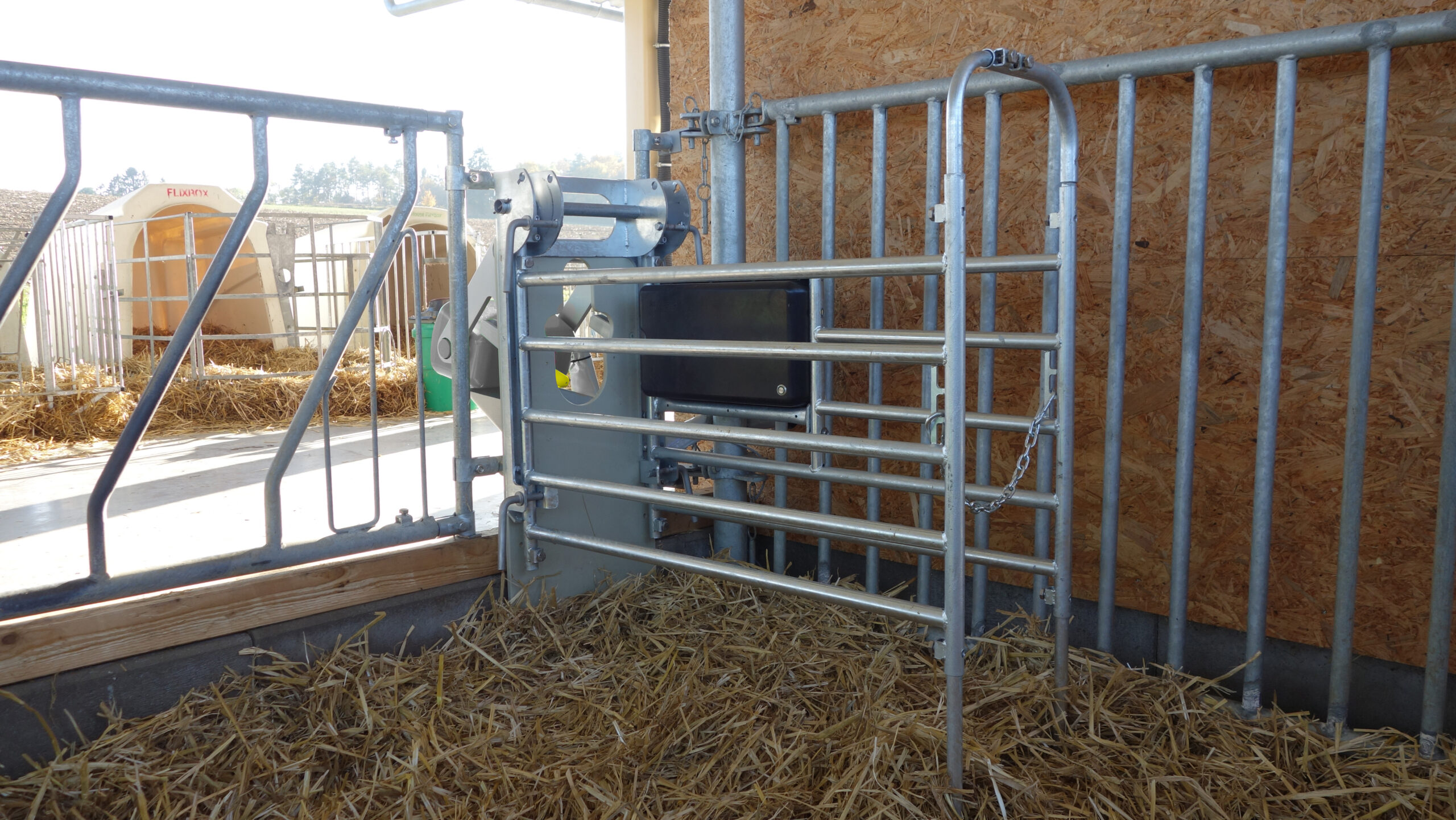 Station d’allaitement MaxiFlex : Offre aux veaux un espace protégé pour l’alimentation, adaptable de manière flexible à toutes les races, tailles de veaux et conditions de site.