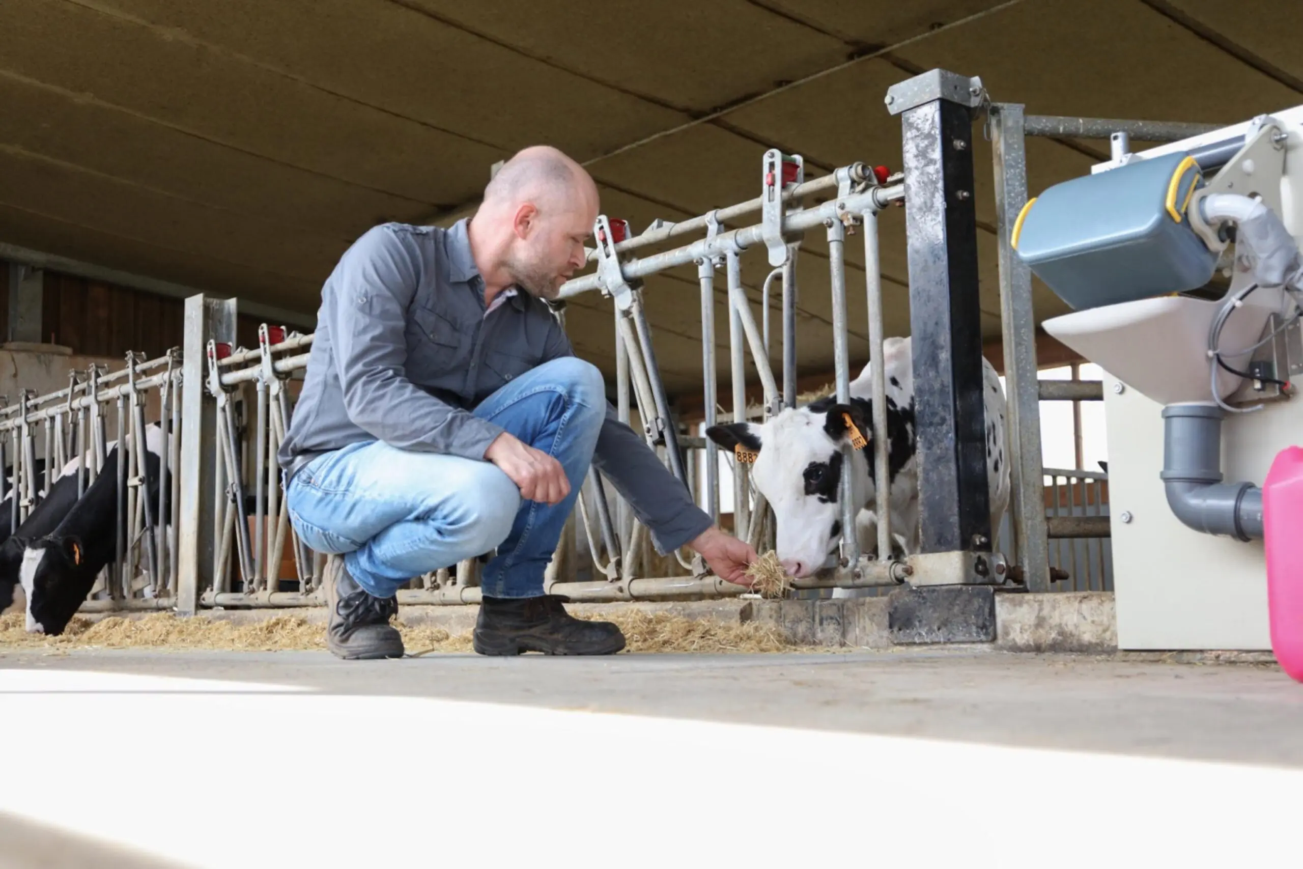 Ein Landwirt mit einer zufriedenen Kuh, die von der optimalen Tränkeversorgung des VARIO Smart profitiert.